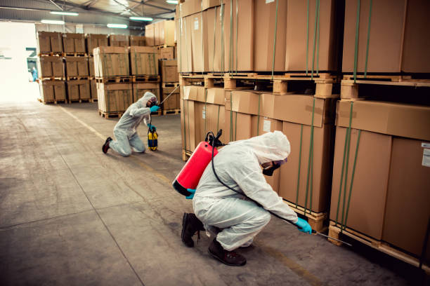 Best Pest Inspection Near Me  in Romeo, MI