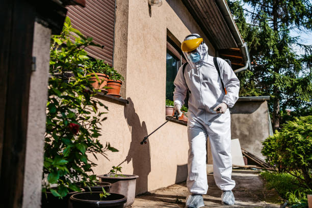 Best Best Pest Control Near Me  in Romeo, MI