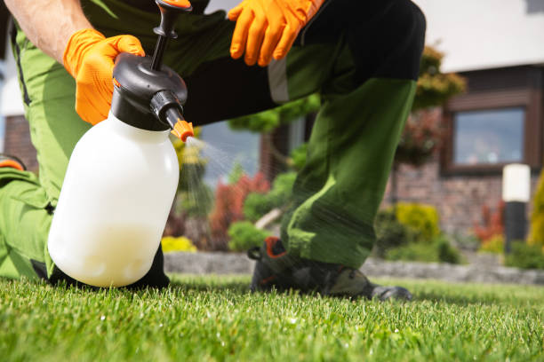 Best Pest Inspection Near Me  in Romeo, MI