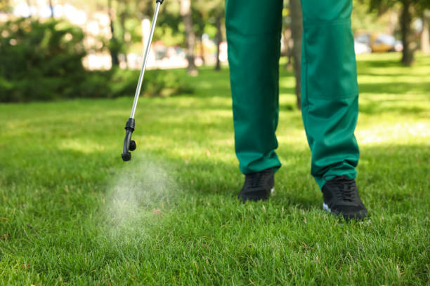 Best Local Pest Control Services  in Romeo, MI