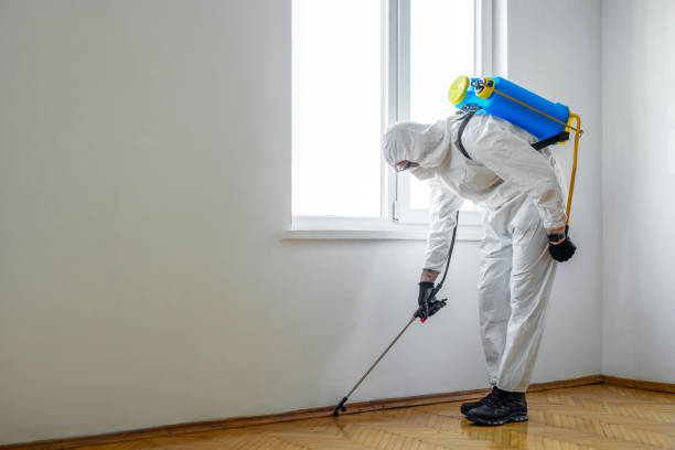Best Pest Removal Services  in Romeo, MI