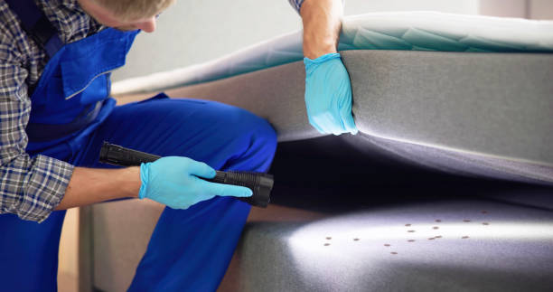 Best Pest Control Near Me in Romeo, MI