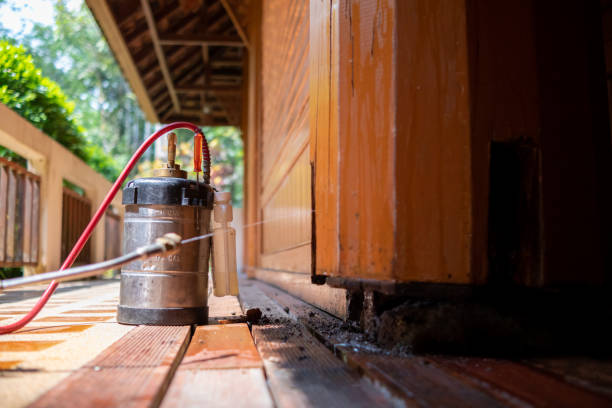 Best Pest Control for Restaurants  in Romeo, MI