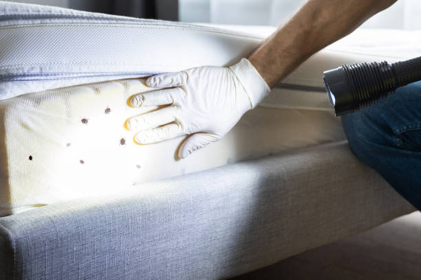 Pest Control for Restaurants in Romeo, MI