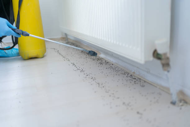 Best Pest Prevention Services  in Romeo, MI