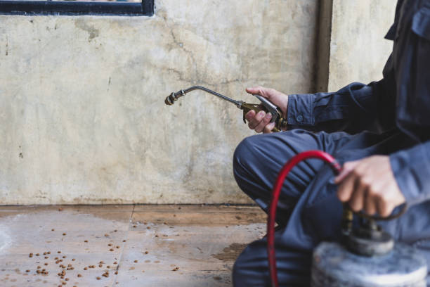 Best Mosquito Control Services  in Romeo, MI