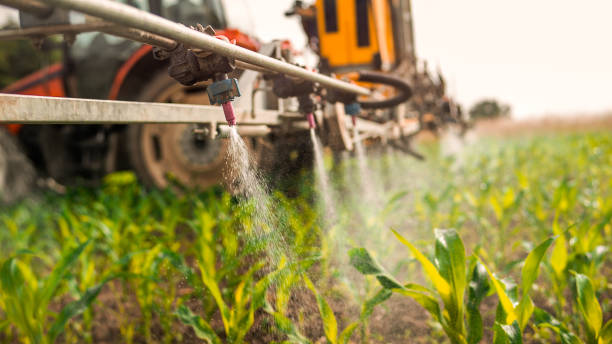 Best Wildlife Control Services  in Romeo, MI